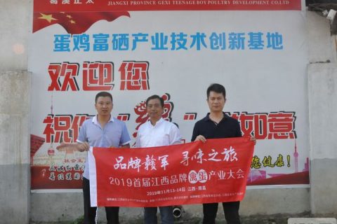 葛溪正太：养殖产业化经营， 500羽小户成长为20万羽品牌蛋企