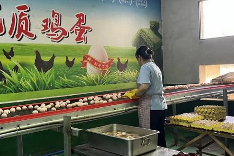 看农业、探文旅 谱写强县富民新篇章