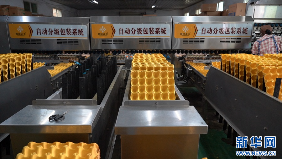 江西芦溪：智能化养殖增效益