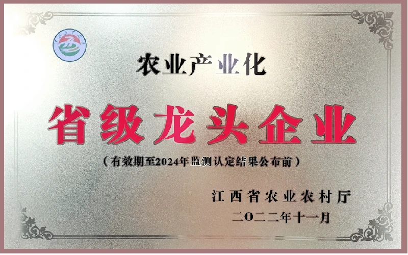 资质荣誉