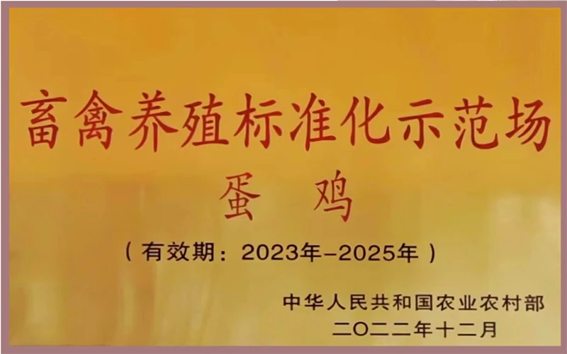 资质荣誉