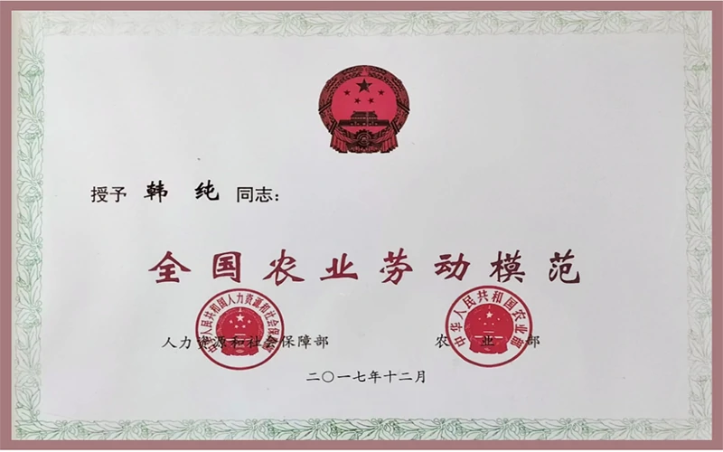 资质荣誉