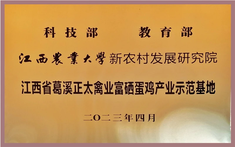 资质荣誉