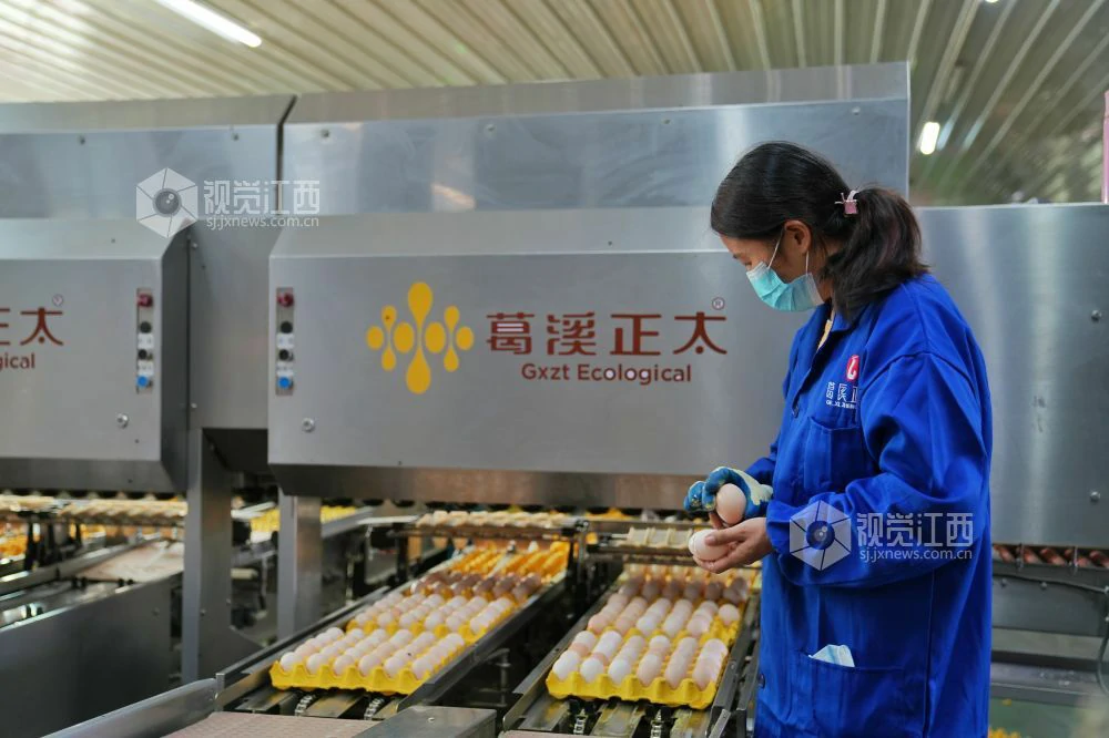 芦溪镇：用诚信赢发展 ——记诚信单位江西省葛溪正太禽业开发有限责任公司