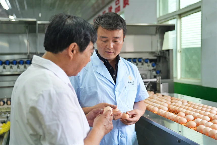 江西芦溪：蛋鸡数字养殖助农增收