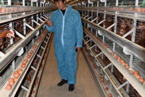 杰出校友“全国农业劳动模范”韩纯的典型事迹