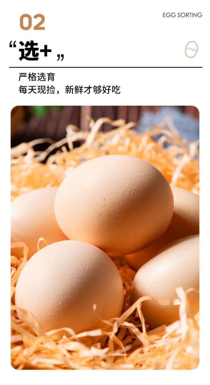 葛溪正太 富硒有机鲜鸡蛋 初生蛋 无公害鸡蛋 有机鸡蛋礼盒