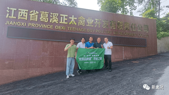 葛溪正太禽业：投资6000万，只为一颗蛋！| 品牌蛋