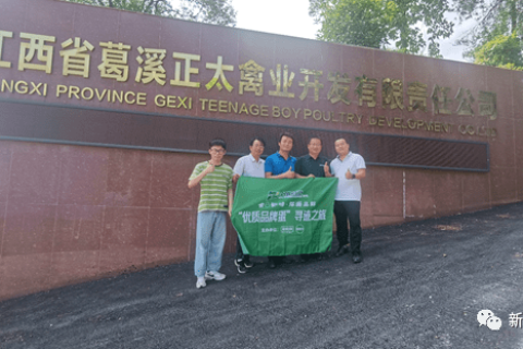 葛溪正太禽业：投资6000万，只为一颗蛋！| 品牌蛋
