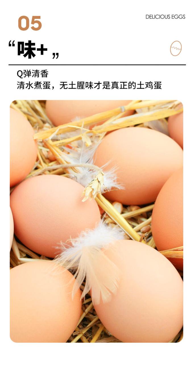 葛溪正太 富硒有机鲜鸡蛋 初生蛋 无公害鸡蛋 有机鸡蛋礼盒