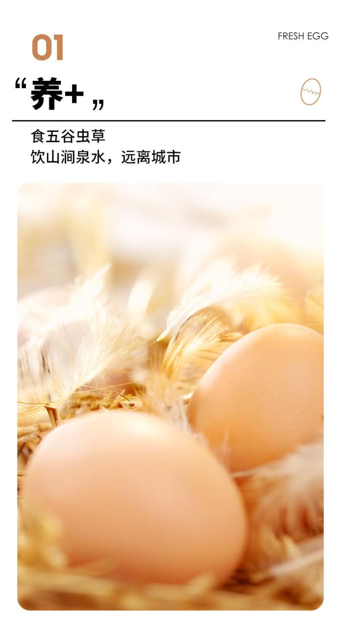 葛溪正太 富硒有机鲜鸡蛋 初生蛋 无公害鸡蛋 有机鸡蛋礼盒