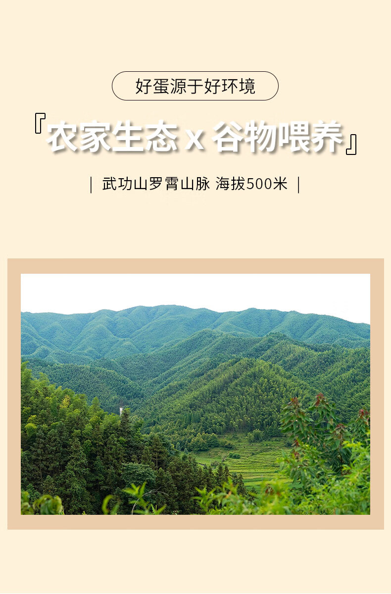 葛溪正太 富硒有机鲜鸡蛋 初生蛋 无公害鸡蛋 有机鸡蛋礼盒